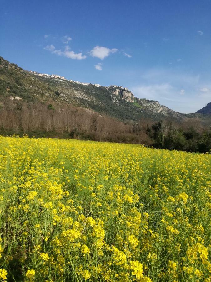 Casa La Calicchia Affittacamere Norma Esterno foto
